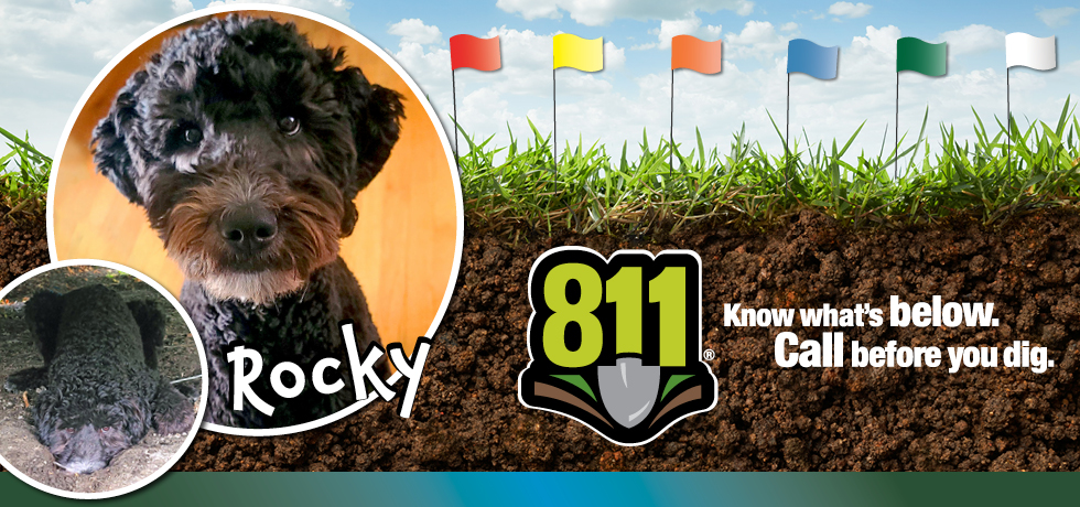 A graphic of two circular photos of a dog with black hair next to a graphic of multi-colored flags and the 811 logo.